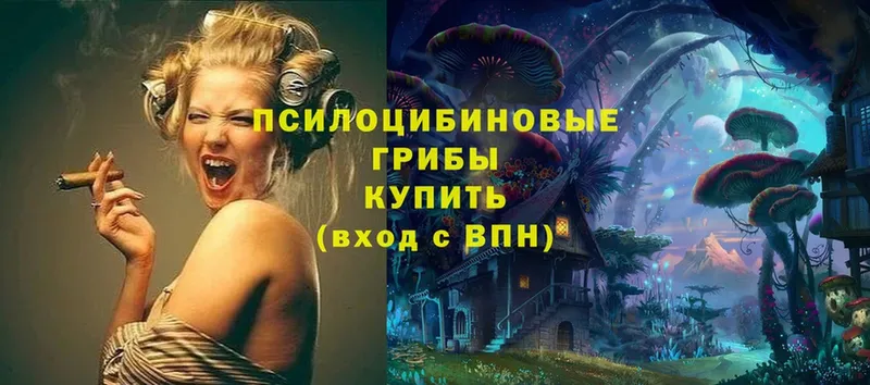 Псилоцибиновые грибы Psilocybe  ОМГ ОМГ   Карабаш  купить  